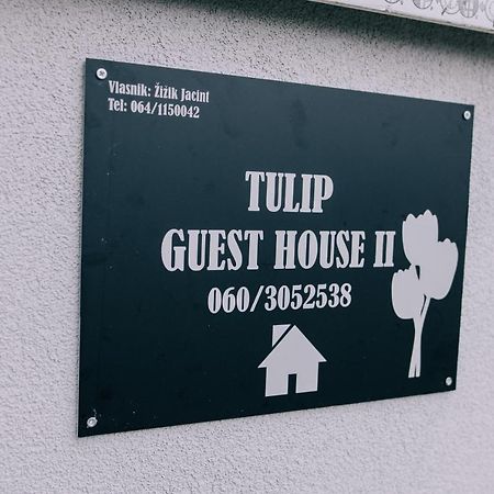Tulip Guest House Ii. Палич Экстерьер фото